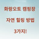 화랑오토 캠핑장 자연 힐링 방법 3가지!
