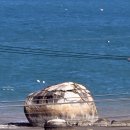 내리몽바닷가 이미지