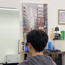헤이브로 | 춘천 바버샵 남자 미용실 두피커버 헤이브로 바버샵 추천
