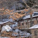 곰배령산장 이미지