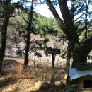 한아름 사슴 농장 이미지