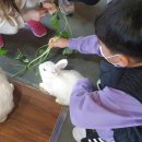 경기도 가볼만한 곳 - 방목형 동물카페 요정출몰지역