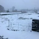 정관농장 이미지