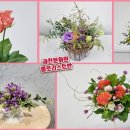 플로리스트(금) 이미지