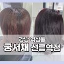 대보미용실 | 역삼동미용실 궁서채 겨울쿨톤 딥퍼플 톤다운 염색 세렌티컬러 퍼스널컬러 후기