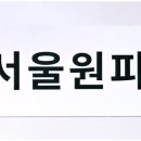 서울대피아노교습소