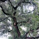 고평경로당 이미지