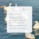 키시빌리지