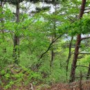 장성체육관 이미지