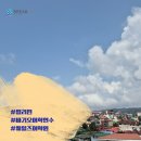 바기오어학연수 기숙사, 수업 옵션이 다양하고 수영장, 골프 이용 가능한 다양한 웨일즈어학원 비용, 후기