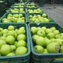 인우농장 이미지