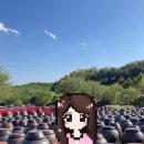 장독대 | 세라비 한옥카페 | 연천 대형 장독대 카페 | 서울 근교 드라이브 (내돈내산 후기)