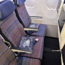 2259 | 부산 김해 괌 직항 대한항공 KE2259 A321 neo 좌석 기내식 후기
