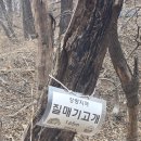 솔치고개