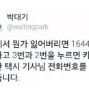 박대기 기자가 알려주는 택시 분실물 찾기 팁 이미지