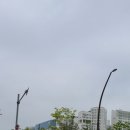 홍블리
