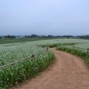 구렁농장 이미지