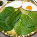 바보낙지 이미지