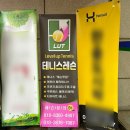 동작구 테니스 레슨 보라매 레벨업 테니스 후기