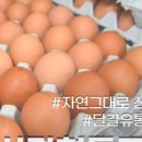 청춘발산협동조합