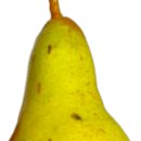 HDL 이미지