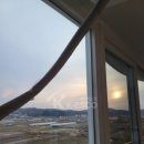 삼도타운 이미지