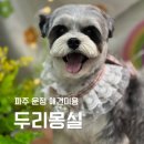 두리몽실