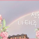 마음한줄 이미지