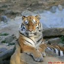 서울대공원 이미지