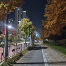 보람동_세종시청 후문 이미지