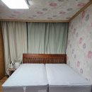 (주)트리스 | 내돈내산 엘라비아 뉴C4 유로탑 브라운하드, 허리 예민한 사람이 고른 매트리스 실사용 후기