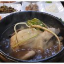 수빈산삼본가 이미지