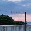 마이오리진 이미지