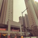 느티마을공인중개사사무소 이미지