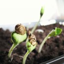 재상농장 이미지