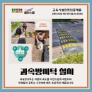 클린스쿨인천 이미지