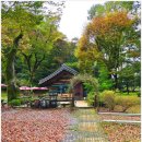 다원 | 강원도 영월 세심다원 후기｜조용한 한옥 찻집에서 쌍화차 마셨어요