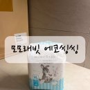 얇고 통기성 좋은 여름기저귀 찾는다면? 모모래빗에코씽씽 솔직 후기