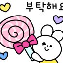 새라본 에스테틱 이대본점 이미지