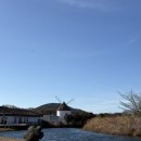 힐링랜드 | 🌿🚂 제주 자연힐링 코스 에코랜드 다녀온 후기