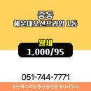 더오션부동산 공인중개사사무소 이미지