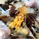 선장의 식탁 이미지