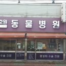 장호원동물병원 이미지