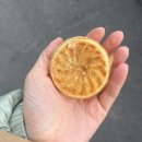해남원조국화빵 네이버블로그