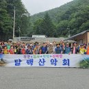 달맥 이미지