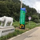 태백한우목장 이미지