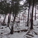 자연휴양림 입구 이미지