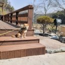 홍성서부중학교 이미지