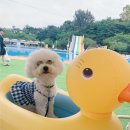 개리비안베이