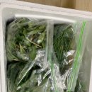 [남부] 건강밥상차리기 | 햇 봄나물 레시피. 머위순 부지깽이새순, 부추새순 달래요리 모음ㅣ 새순 봄나물 밥상 차리기